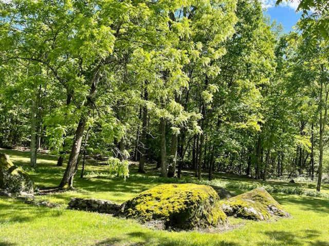 Cragsmere Manor Views 24 Guests Mentone 외부 사진
